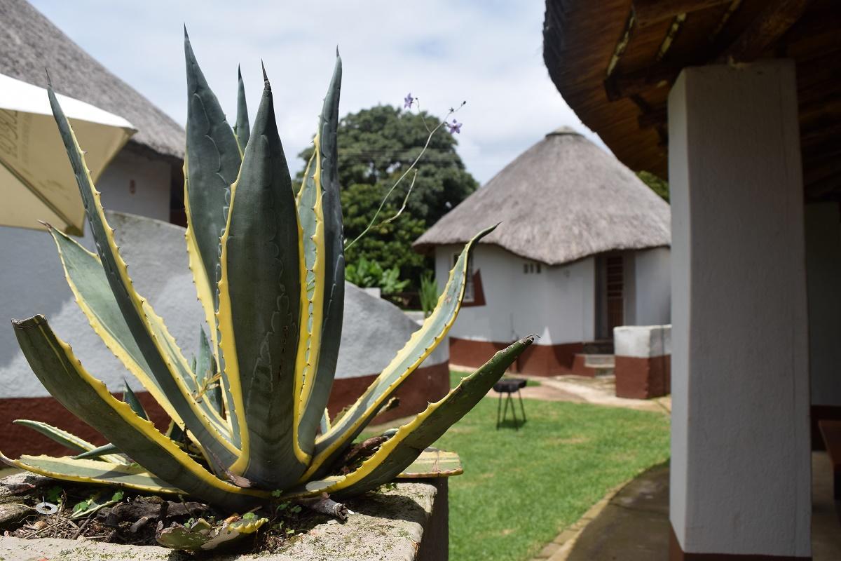 Sheri'S Lodge & Backpackers Graskop Esterno foto